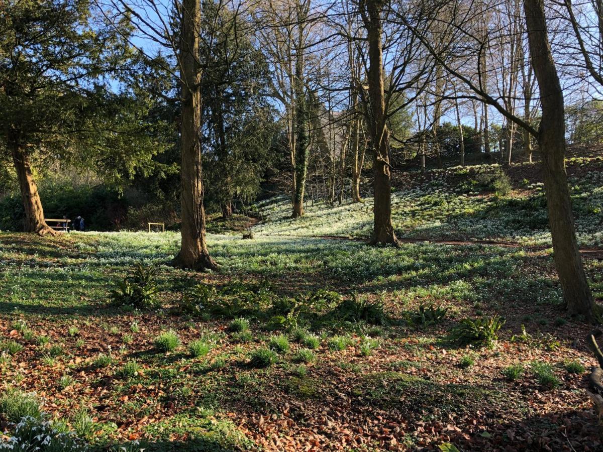 Cotswold Lodge Painswick Εξωτερικό φωτογραφία